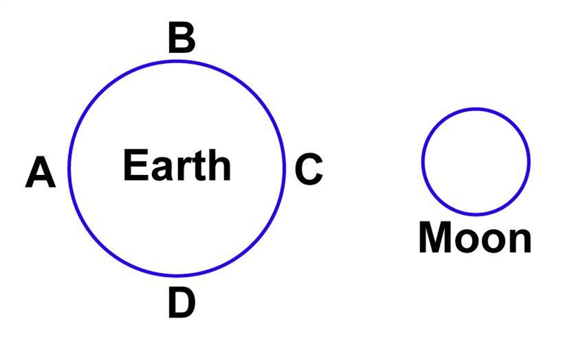 Look at the diagram below. Which points on Earth would have high tides for this arrangement-example-1