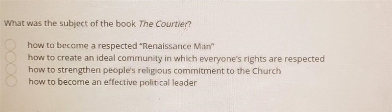 What was the subject of the book The Courtier? Multiple choice) ​-example-1