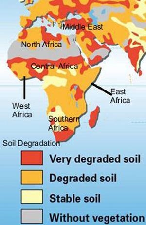 Which of the following is the best explanation for the areas without vegetation? A-example-1