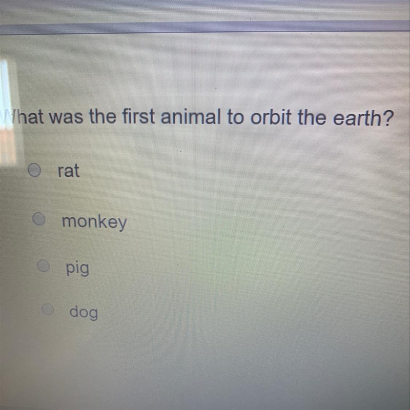 What was the first animal to orbit the earth? rat monkey pig dog-example-1