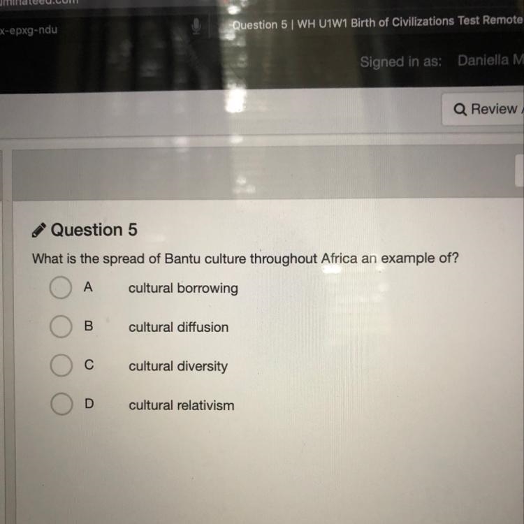 What is the spread of Bantu culture throughout Africa an example of ?-example-1