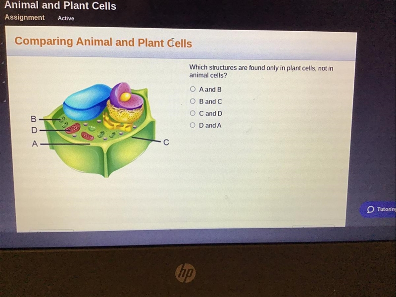 PLEASE ANSWER FAST PLEASE Which structures are found only in plant cells, not in animal-example-1