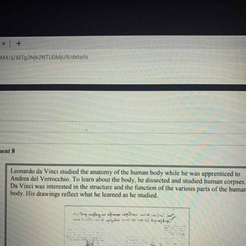 According to the excerpt and image above, how did Leonardo Da Vinci represent humanism-example-1