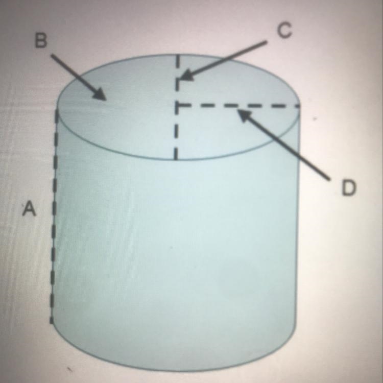 NEED THIS PLZZZ!! ON A TIME LIMIT Identify A, B, C, and D on the soup can. A= B= C-example-1