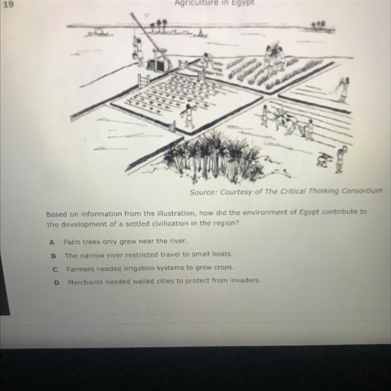 Based in the information how did the environment of Egypt contribute to the development-example-1