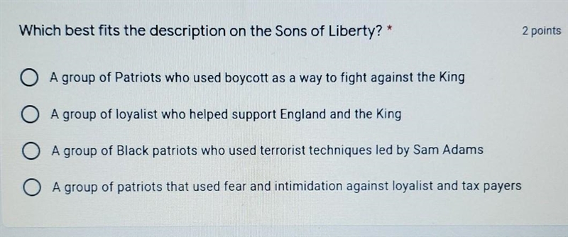 Which best fits the description on the Sons of Liberty? * A group of Patriots who-example-1