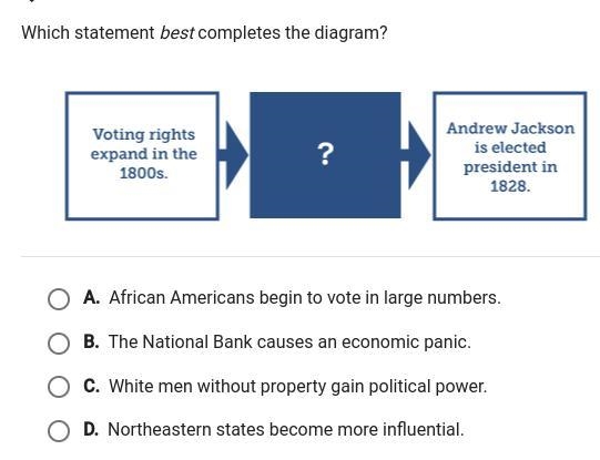 PLEASE HELPPPPP!!!!!!!!!! Which statement best completes the diagram? Voting rights-example-1