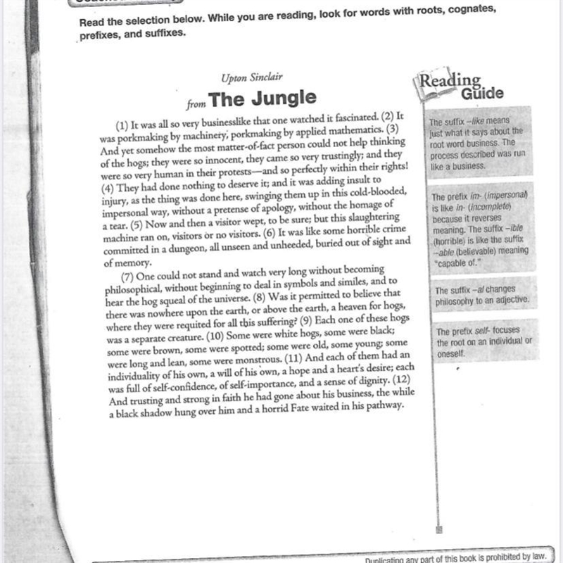 08/20-21/20- The Jungle 1. Does the use of third person lend credibility to the narrator-example-1