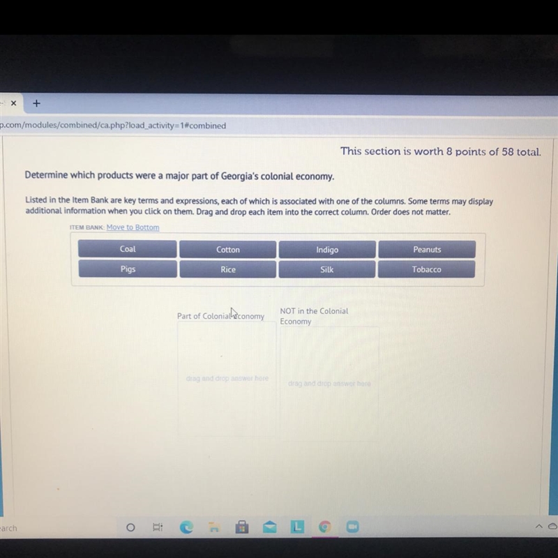 Help me asap Which terms go in part of colonial economy coal, cotton indigo, peanuts-example-1