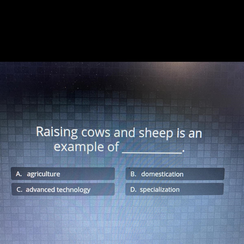 Raising cows and sheep is an example of ______. A. agriculture B. domestication C-example-1