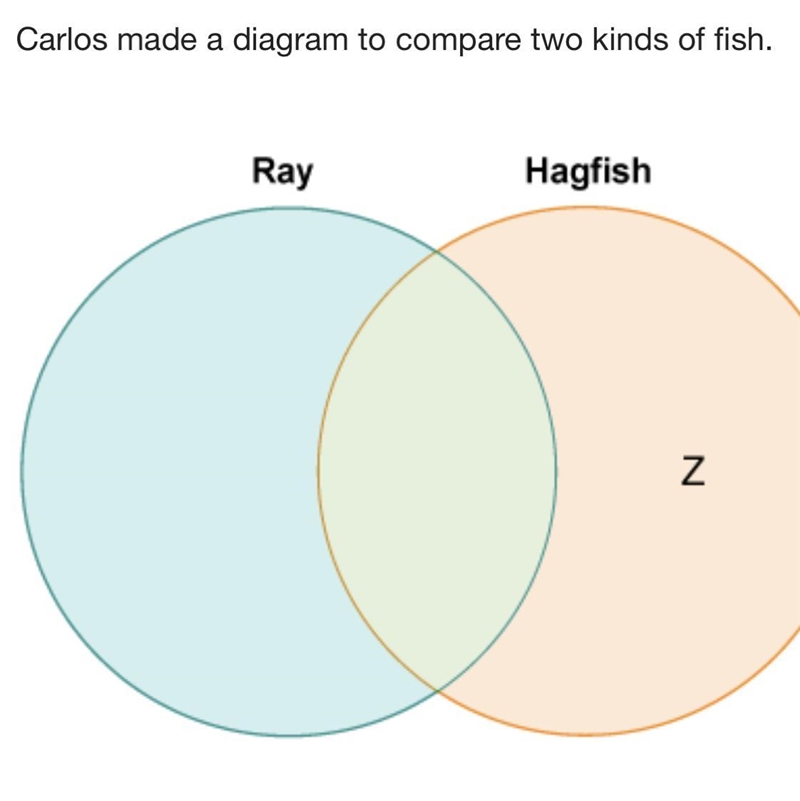 Which label belongs in the area marked Z? Scales No jaw Swim bladder Skeleton made-example-1