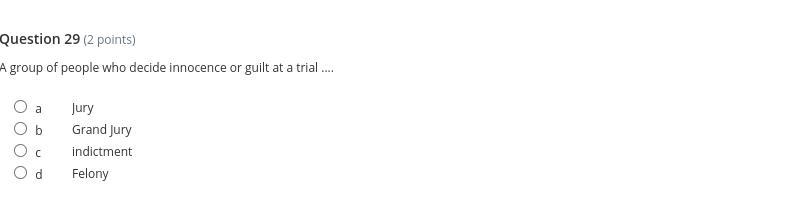 A group of people who decide innocence or guilt at a trial...-example-1