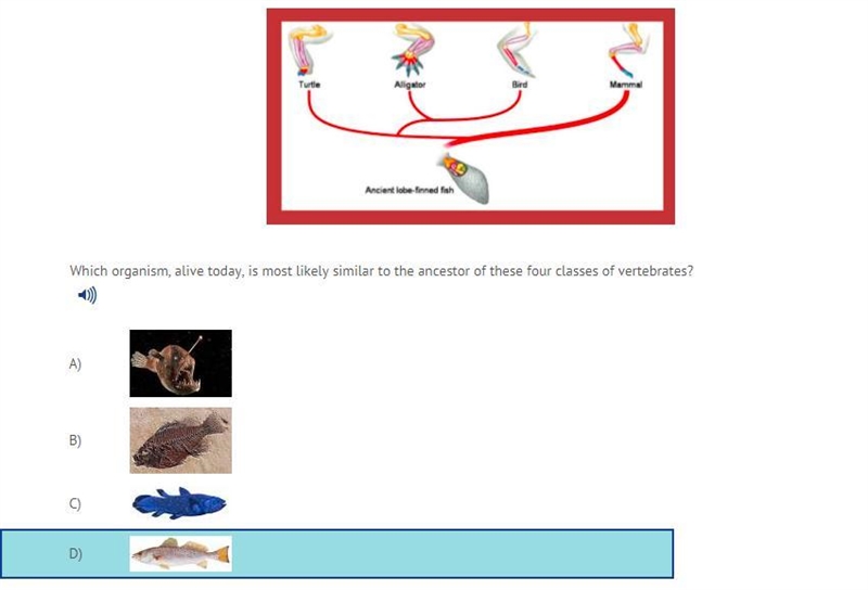 Fixed! Which organism, alive today, is most likely similar to the ancestor of these-example-1