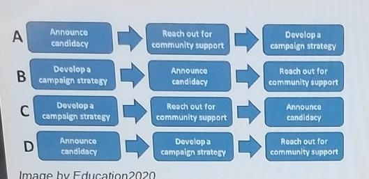 The above chart shows possible steps to take when starting a political campaign. Which-example-1