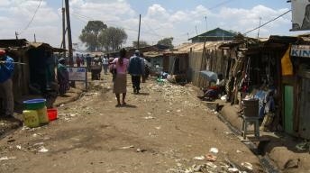 The above image shows Kibera, a neighborhood in one of Africa’s largest cities. What-example-1