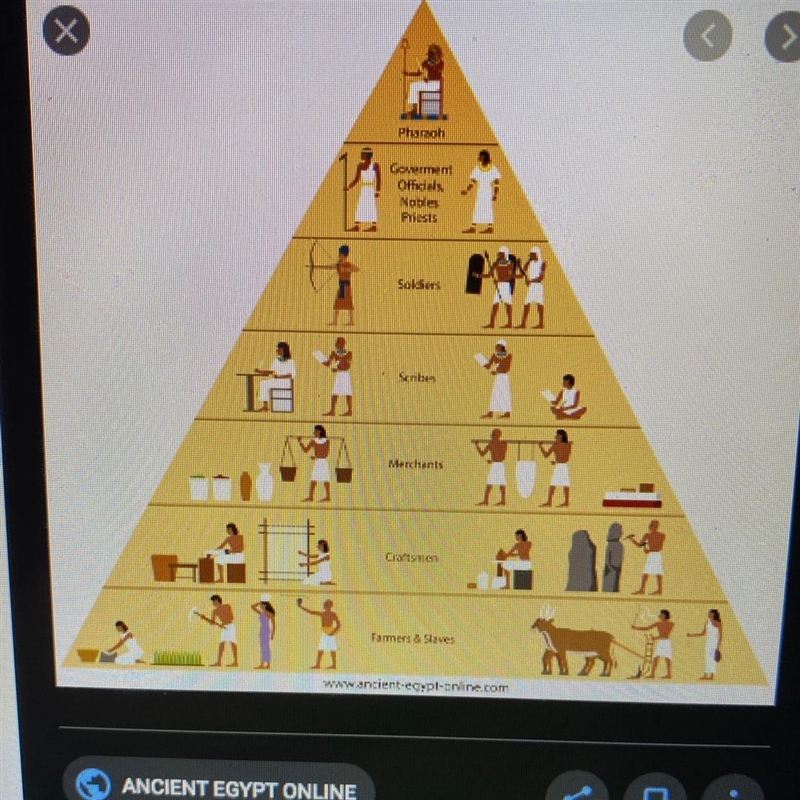 What is the social hierarchy pyramid in order-example-1