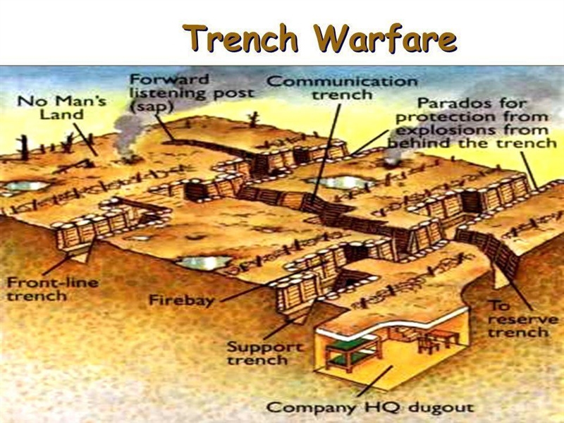 Describe trench warfare and “no man’s land.”-example-1