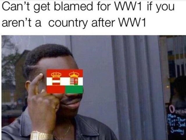 Need a WW1 meme for history class, anyone have an idea?-example-1