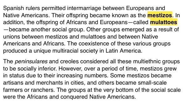 Explain how the social status of mestizos changed over time.(5 sentences)-example-1