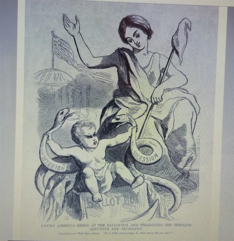 What does the baby in this cartoon represent? slavery freedom the United States​-example-1