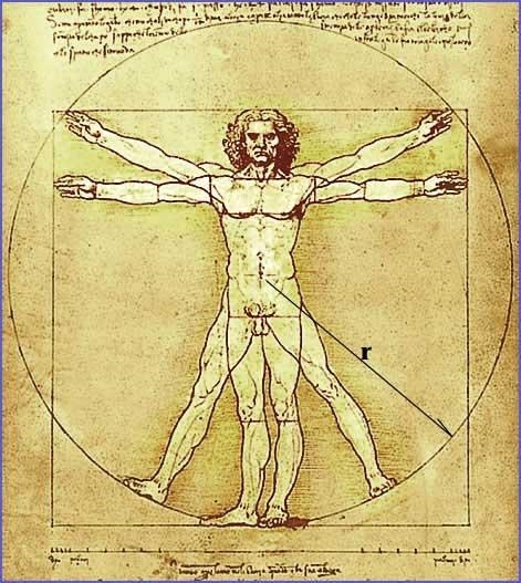 In creating this drawing, da Vinci drew upon: (A) Greek principles of number ratios-example-1