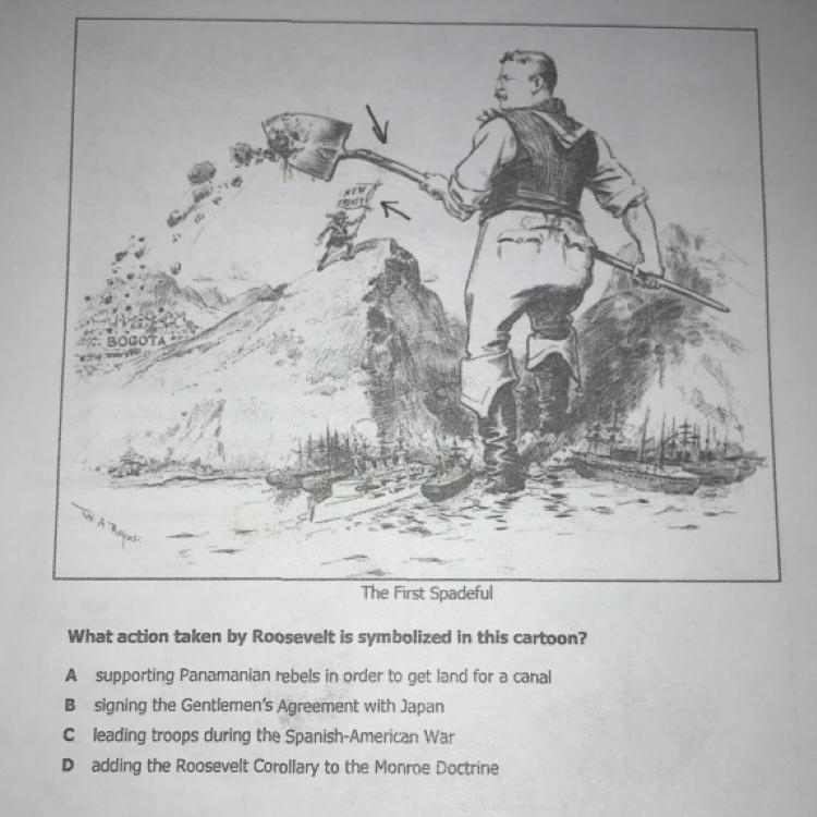 What action taken by Roosevelt is symbolized in this cartoon?-example-1