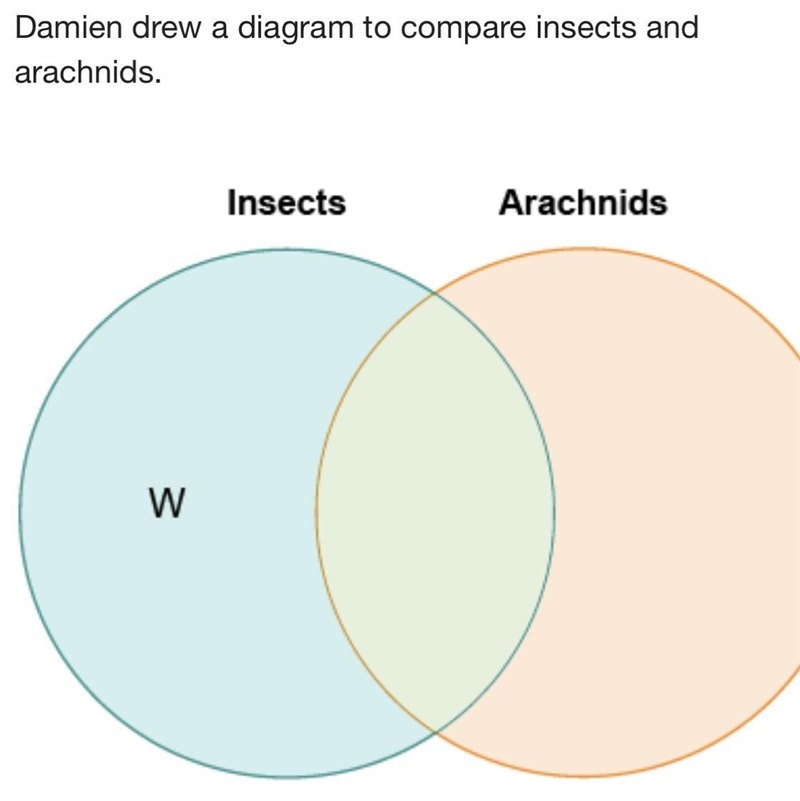 Damien drew a diagram to compare insects and arachnids. Which belongs in the area-example-1