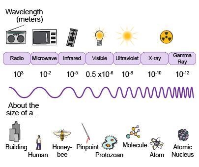 Question 1. Which electromagnetic wave has the shortest wavelength? options for this-example-1