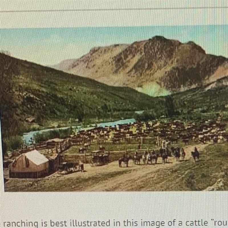 Which of these components of cattle ranching is best illustrated in this image of-example-1