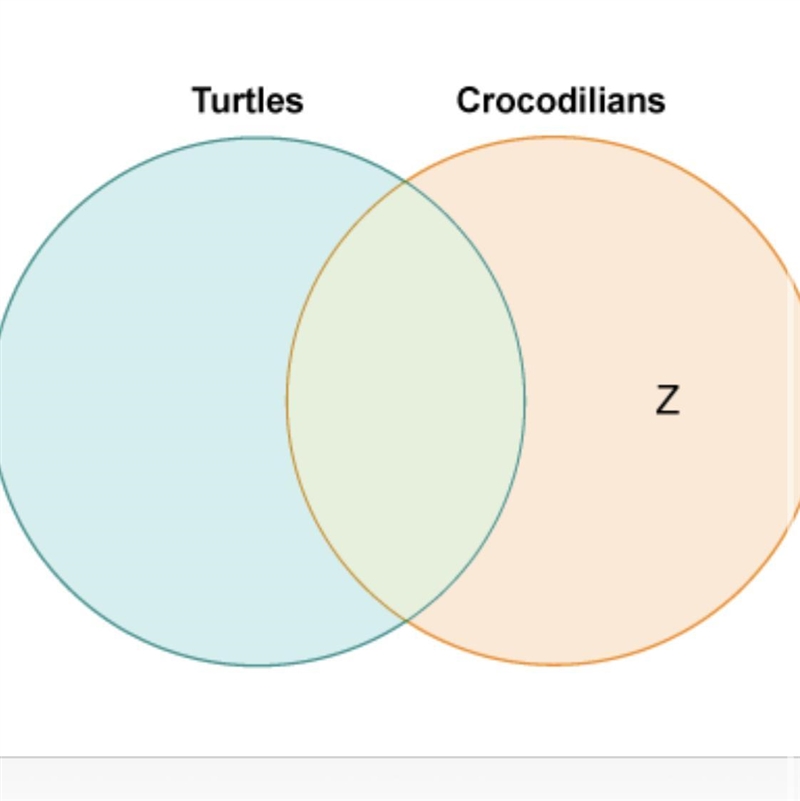 Victor drew a diagram to compare turtles and crocodilians Which label belongs in the-example-1