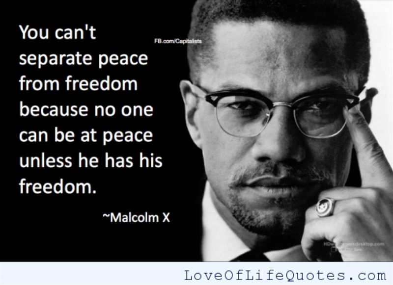 Do you agree or disagree with Malcolm X Write one paragraph-example-1