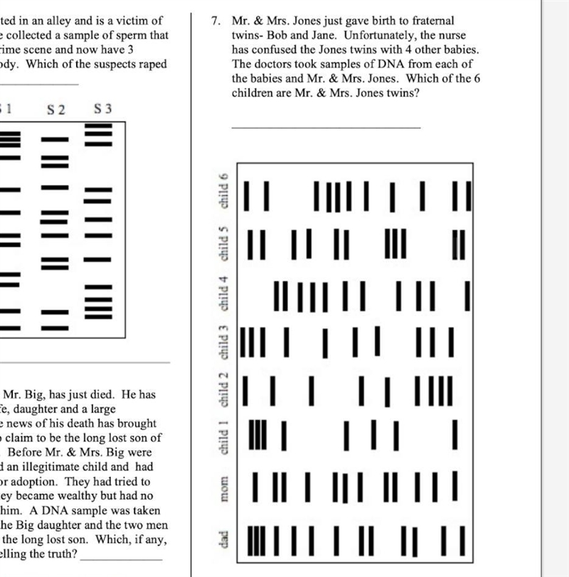 Can someone help me with this asap!!-example-1