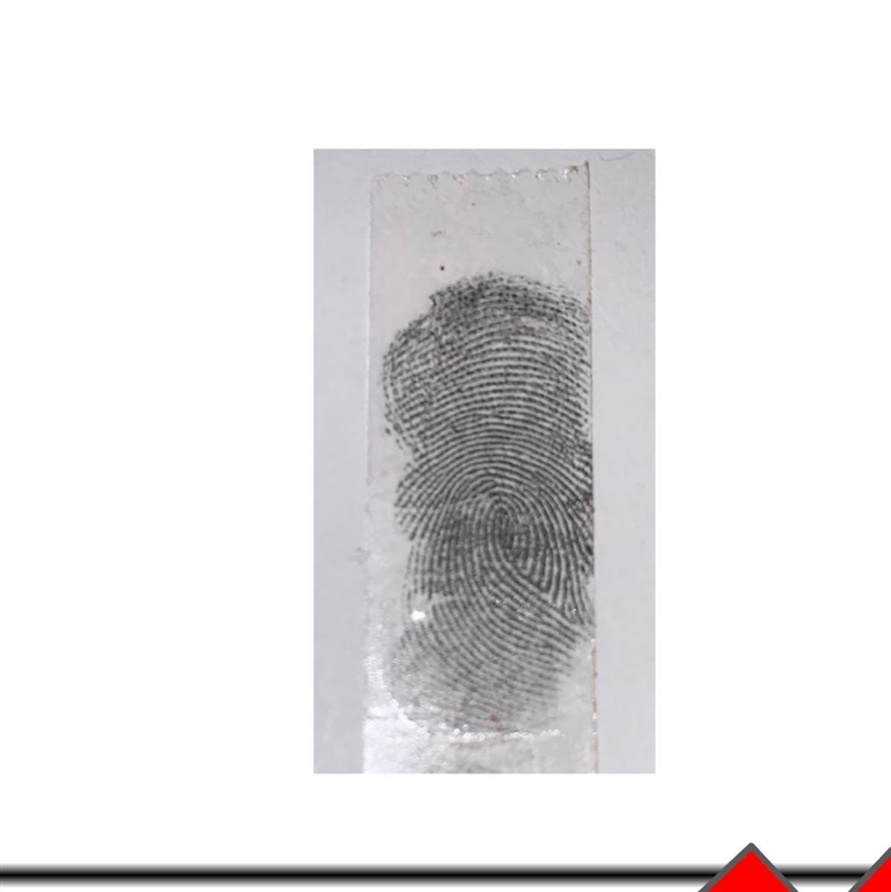 Can someone help me classify this fingerprint ASAP!!-example-1