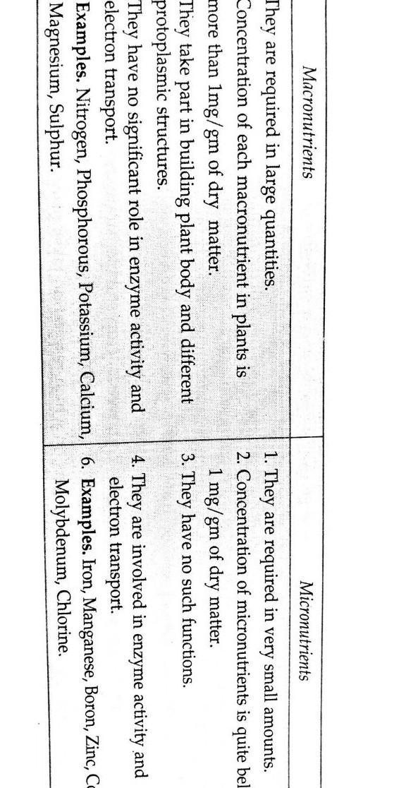 Differentiate between macro and micro nutrients with examples​-example-1