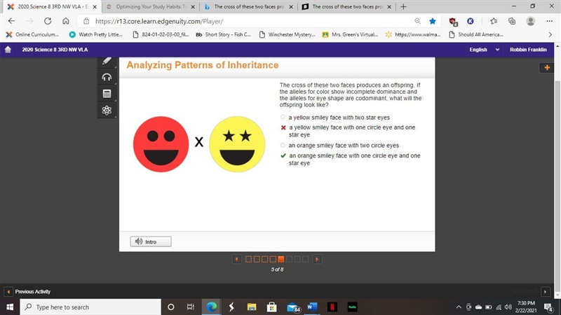 The cross of these two faces produces an offspring. If the alleles for color show-example-1