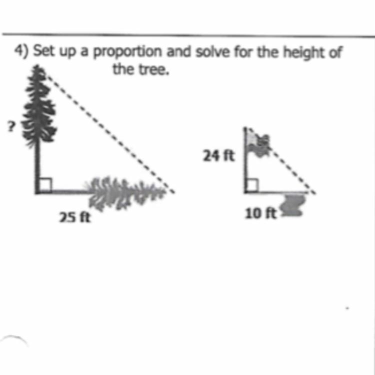 Set up a proportion and solve the height of the three .-example-1