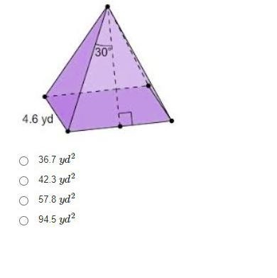 Find the surface area of the square pyramid. Round your answer to the nearest tenth-example-1