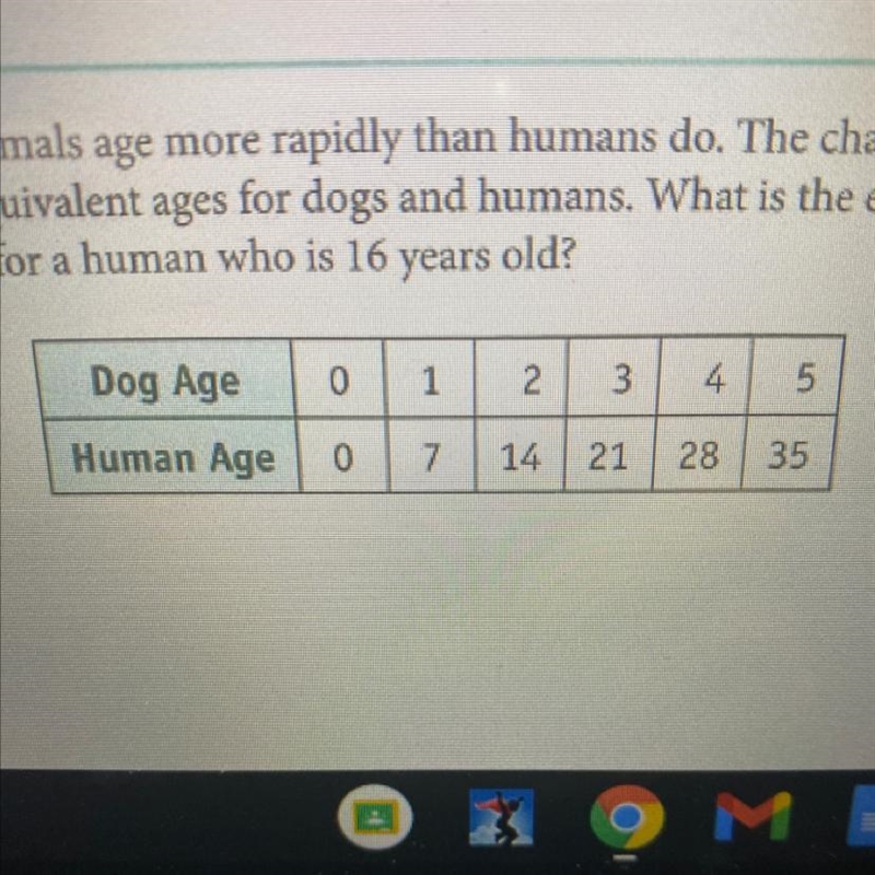 Many animals age more rapidly than humans do. The chart below shows equivalent ages-example-1