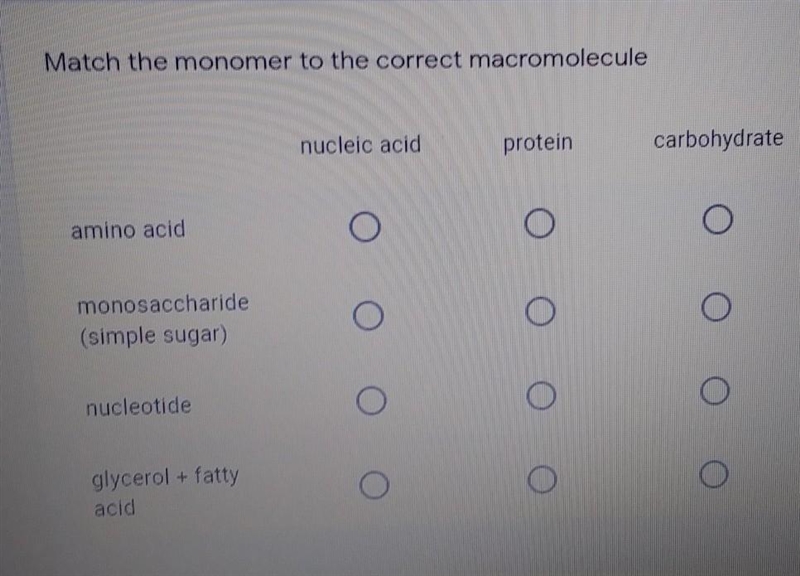 Match the monomer to the correct macromolecule ​-example-1