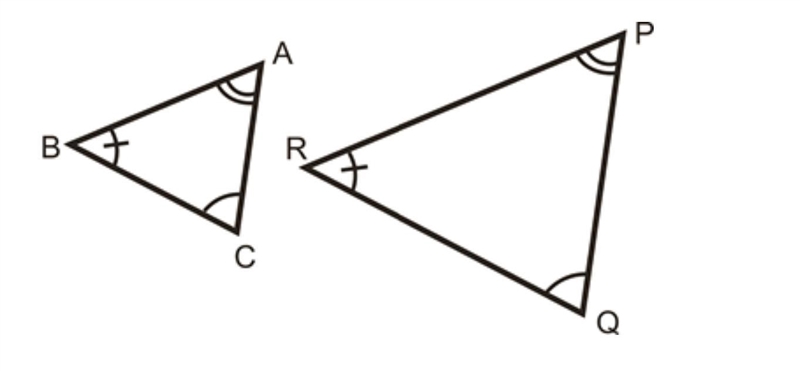 I need help with 5 problems! Please actually help and don't just reply for points-example-2