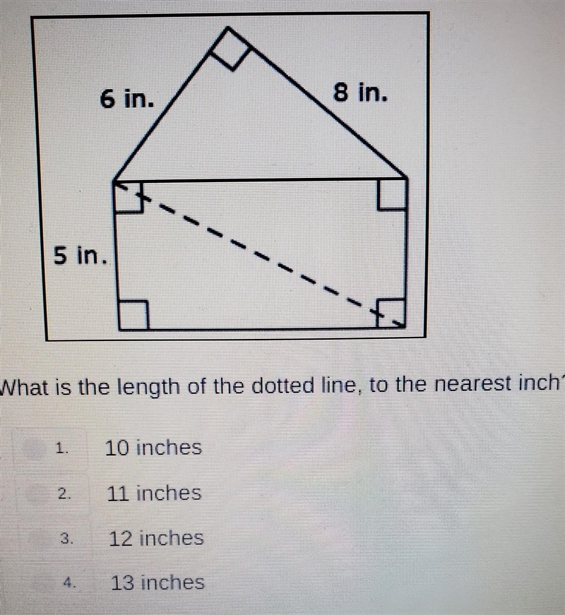 What is the length of the dotted line, to thr nearest inch?​-example-1