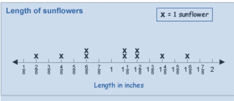 If you put all the sunflowers together end to end, what would be the total length-example-1