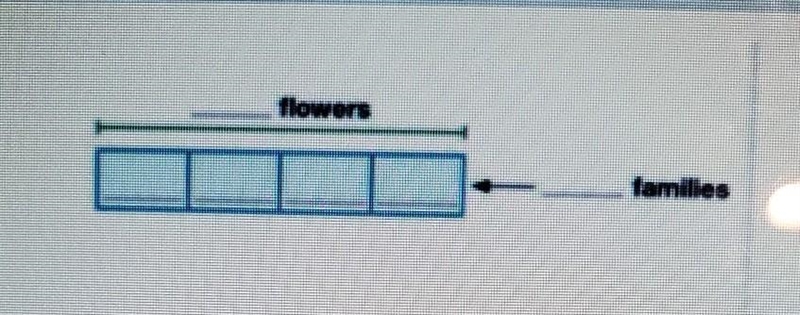 8. Model with Math Jodie has 24 flowers in her garden. She wants to give an equal-example-1