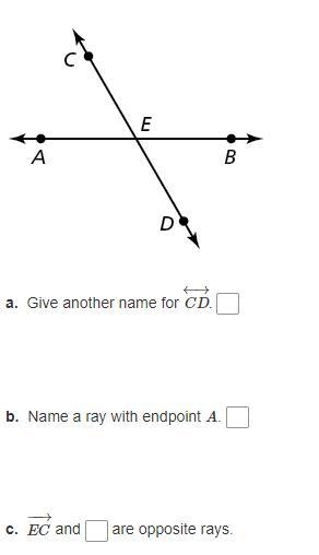 24 points! need asap-example-1