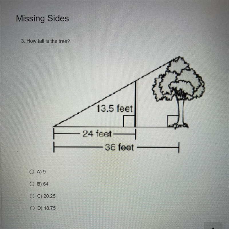 3. How tall is the tree? 13.5 feet 24 feet - - 36 feet OA) 9 O B) 64 O C) 20.25 OD-example-1