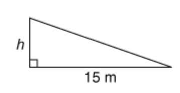 What is the height of the following triangle if the area is 60 square meters? Do not-example-1