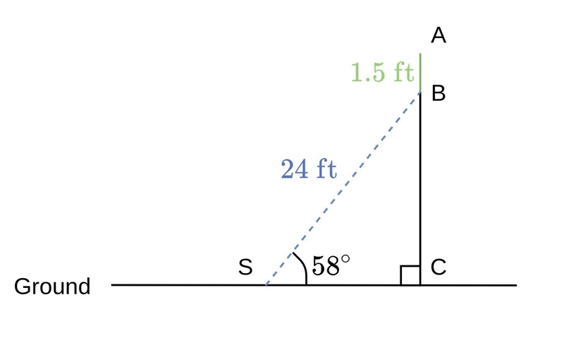 An evergreen tree is supported by a wire extending from 1.5 feet below the top of-example-1