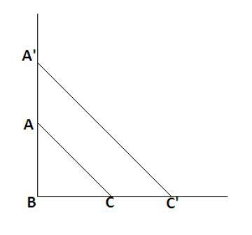 Joseph is creating a dilation through point B with a scale factor of 2. Which statements-example-1