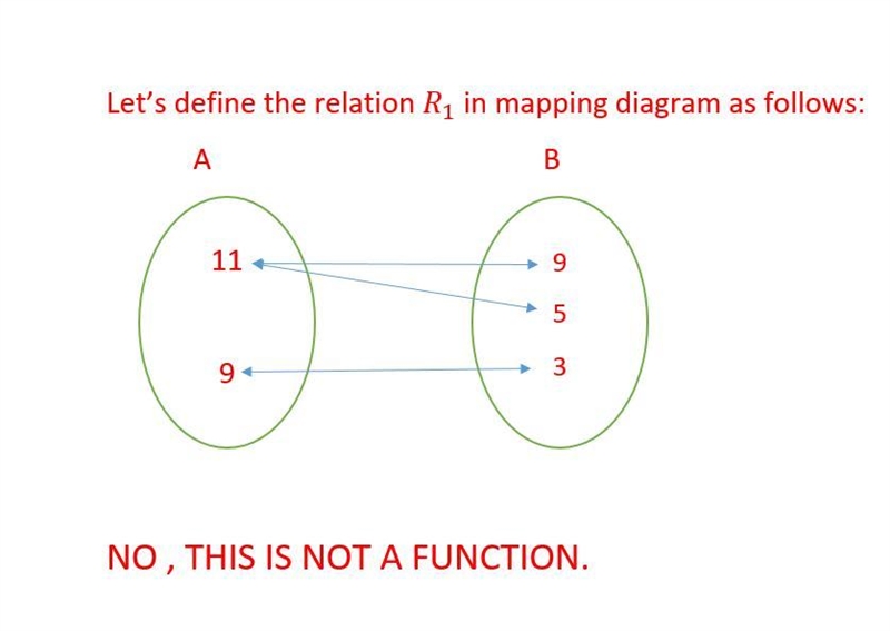 Is (11,9), (11,5), (9,3) a function-example-1