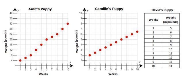 Is the relationship for Camille’s puppies weight in terms of linear or nonlinear-example-1